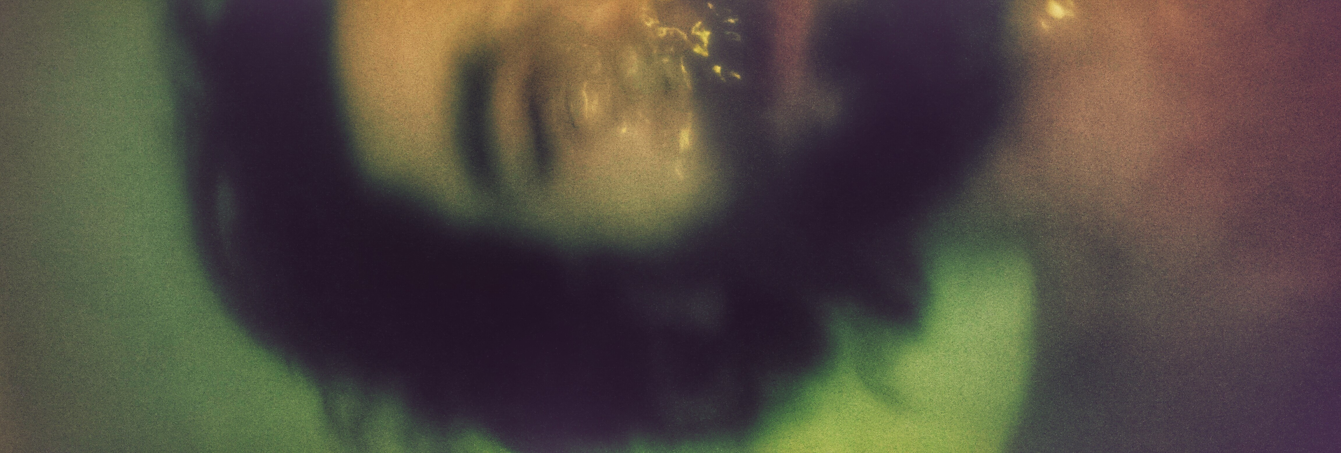 francois Anne - autoportrait sous l'eau - 2015